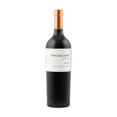 PASCUAL TOSO RESERVE MALBEC 2015