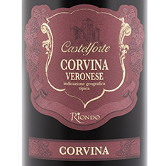 CASTELFORTE CORVINA