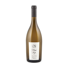 STAGS' LEAP WINERY VIOGNIER 2016